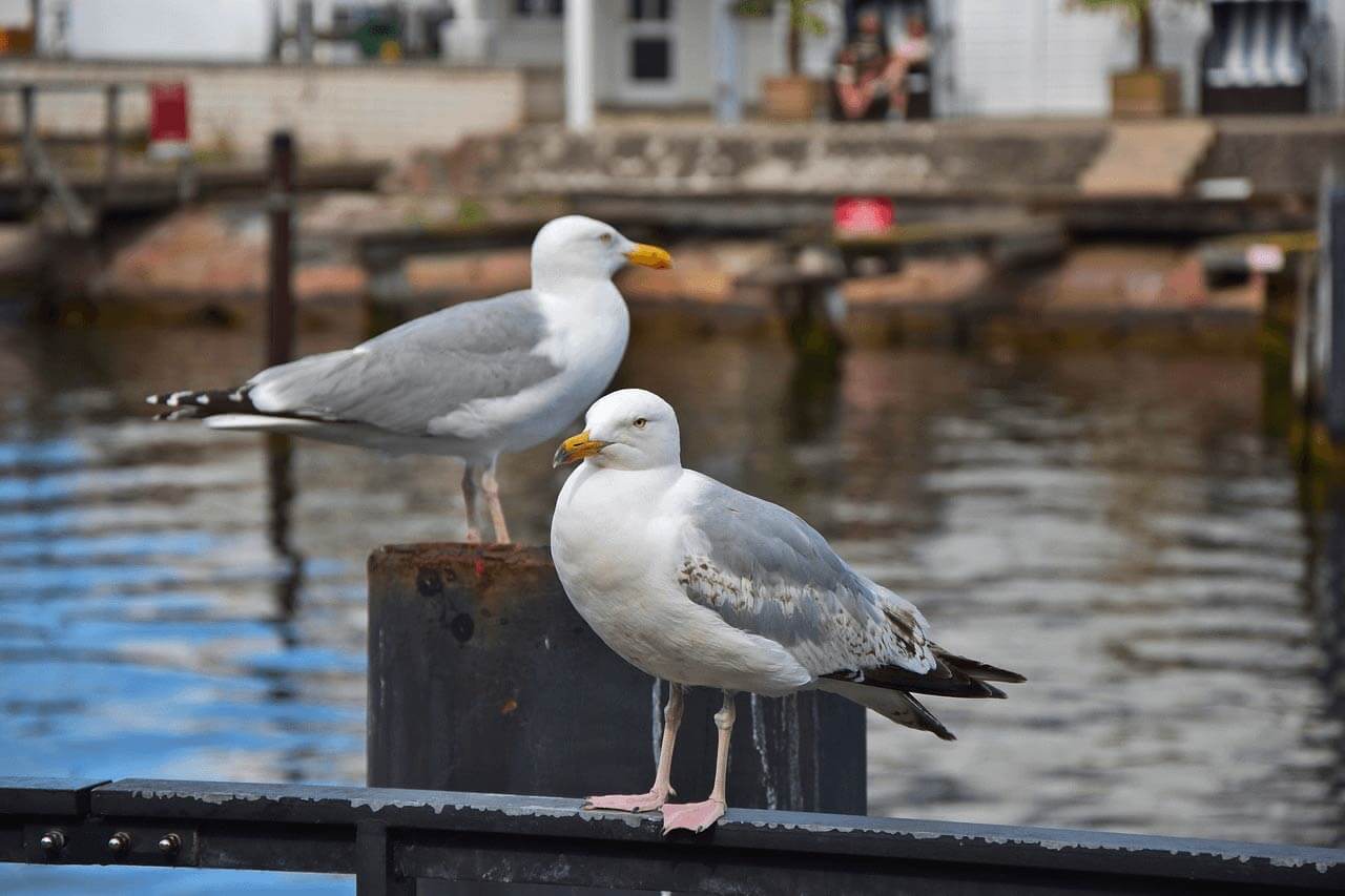 Hotelangebote für den Kurzurlaub über Pfingsten an der Ostsee